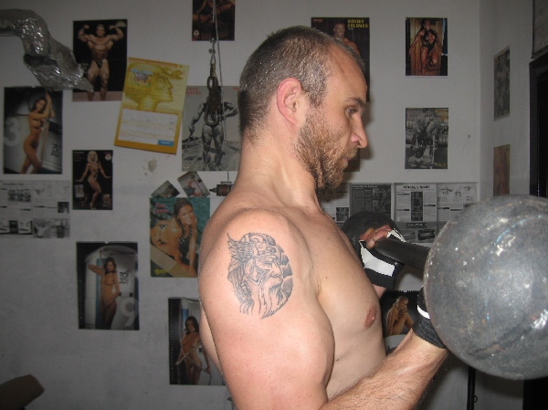 biceps