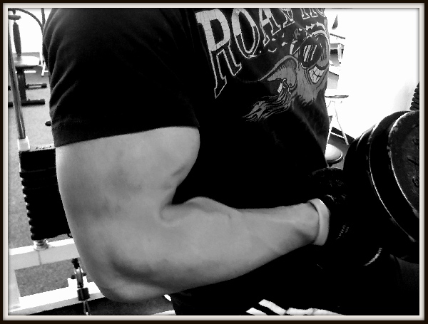 M�j biceps
/2.5.2012