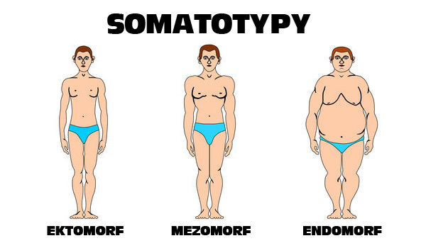 somatotypy